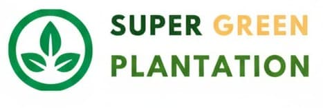 Super Plant logo